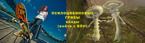 PSILOCYBIN Арсеньев